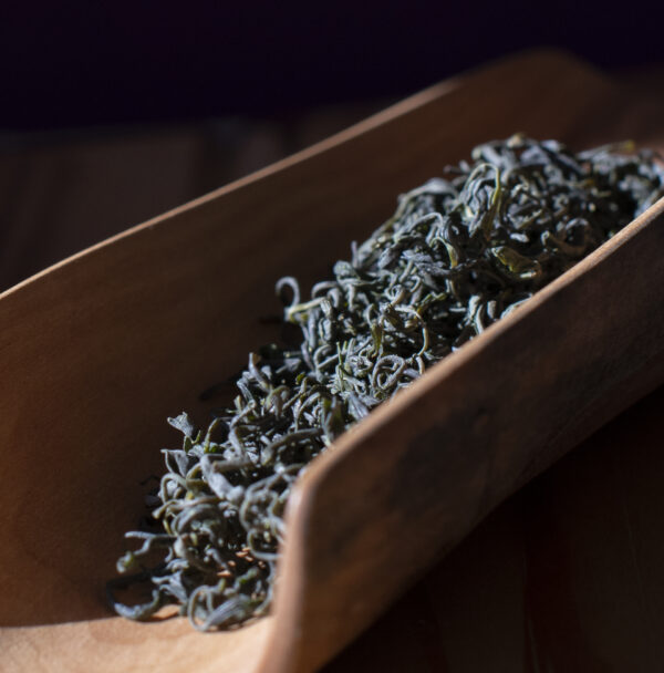 Deep green tea leaves piled in a scoop