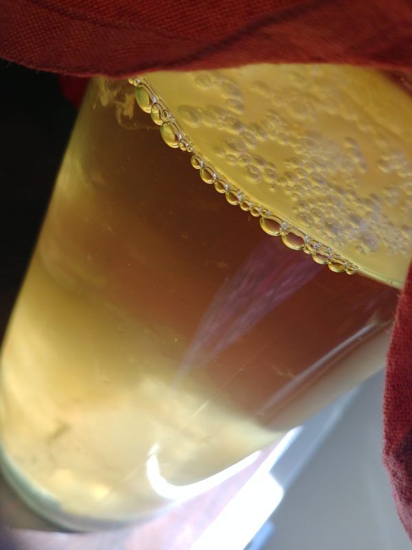 Kombucha, Of Course - Image 2