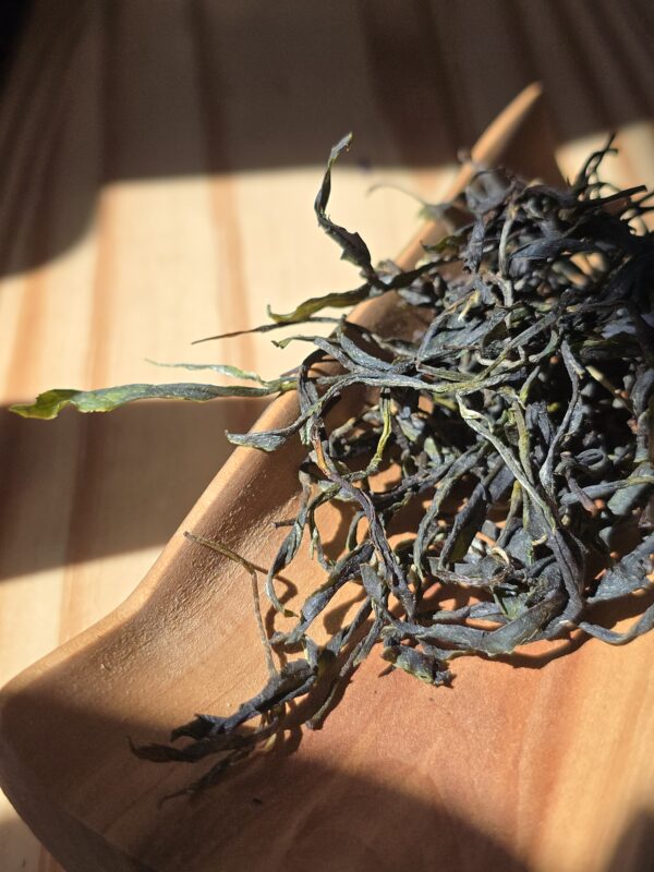 large green tea leaves