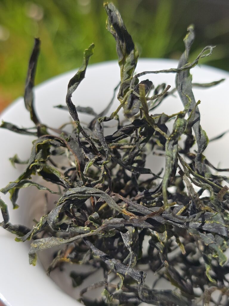 wiry twisted green tea leaves