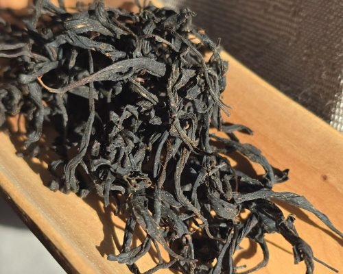 fine twisted black tea leaves on a tea scoop