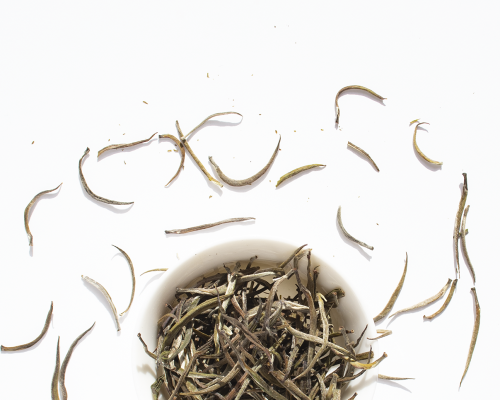 silver needle tea leaves scattered across white background
