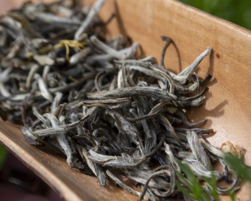 Celestial Jasmine white tea leaves