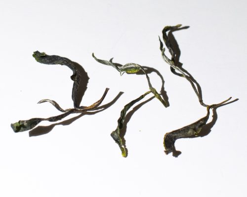 scottish green tea leaves in a row